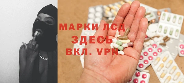 ГАЛЛЮЦИНОГЕННЫЕ ГРИБЫ Богданович