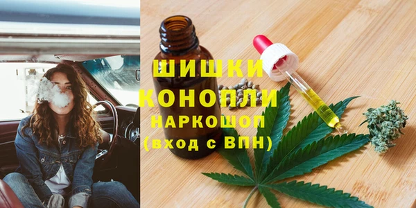 амф Богородицк