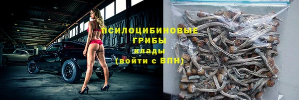 первитин Богородск