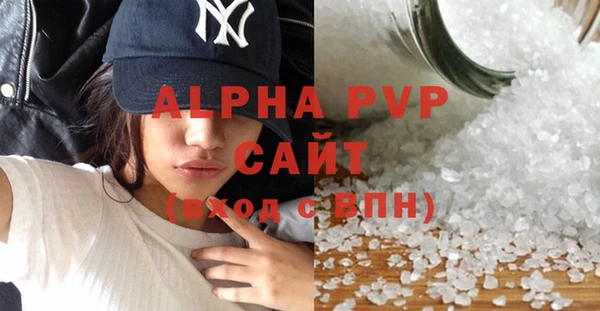 ГАЛЛЮЦИНОГЕННЫЕ ГРИБЫ Богданович