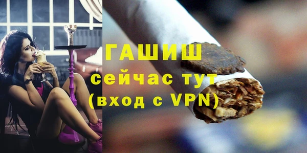 ГАЛЛЮЦИНОГЕННЫЕ ГРИБЫ Богданович